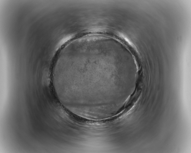 X0000087001213200704301351