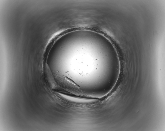 X0000087001214200704301351