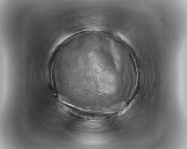 X0000087001215200704301351
