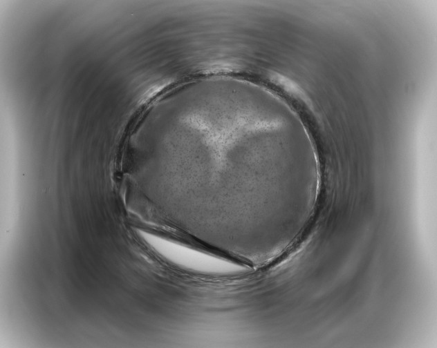 X0000087001217200704301351