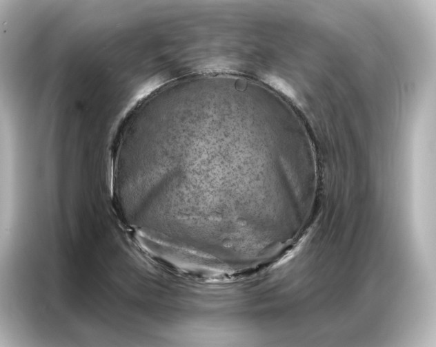 X0000087001219200704301351