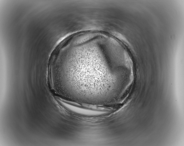 X0000087001220200704301351