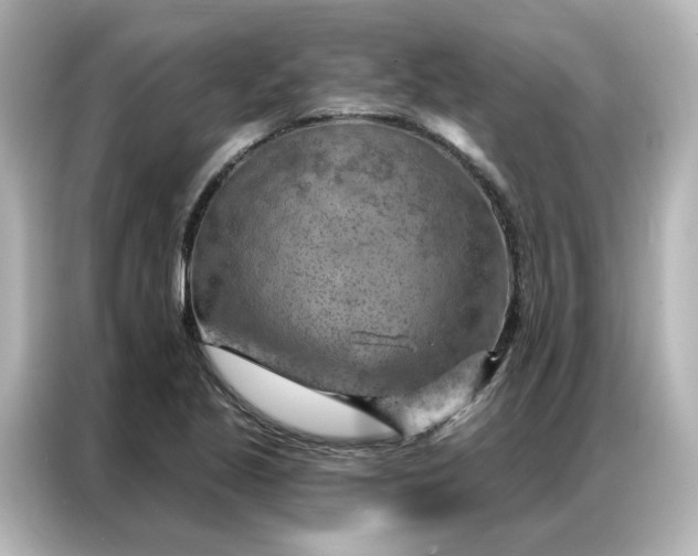 X0000087001221200704301351