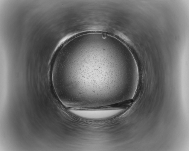 X0000087001222200704301351