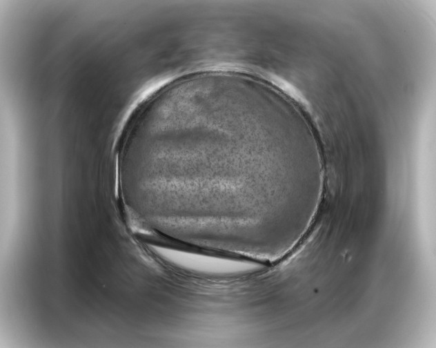 X0000087001223200704301351