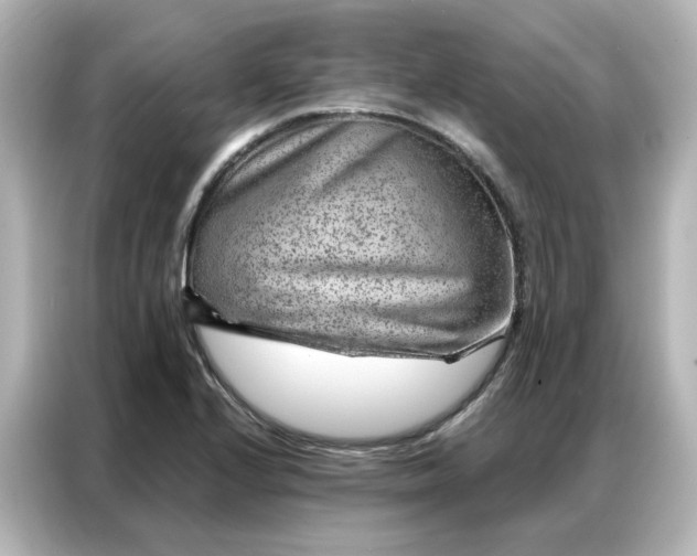 X0000087001224200704301351