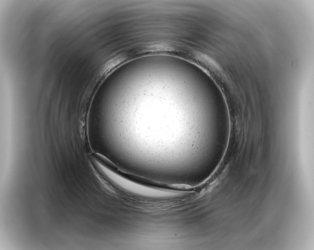 X0000087001225200704301351