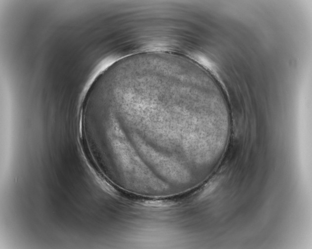 X0000087001227200704301351