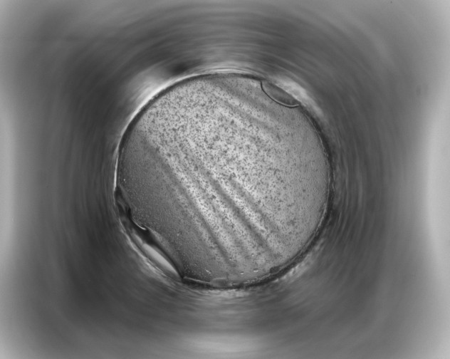 X0000087001228200704301351