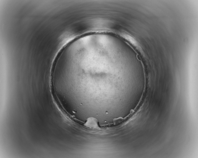 X0000087001229200704301351