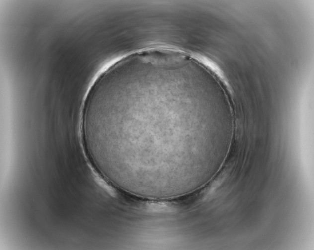 X0000087001231200704301351