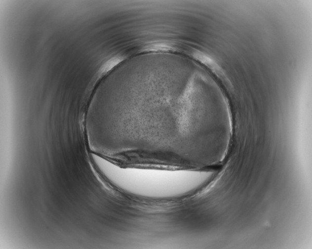 X0000087001233200704301351