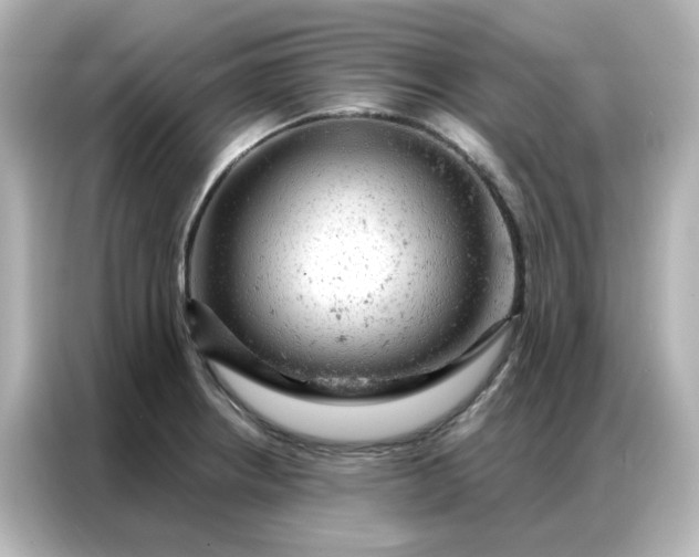 X0000087001234200704301351
