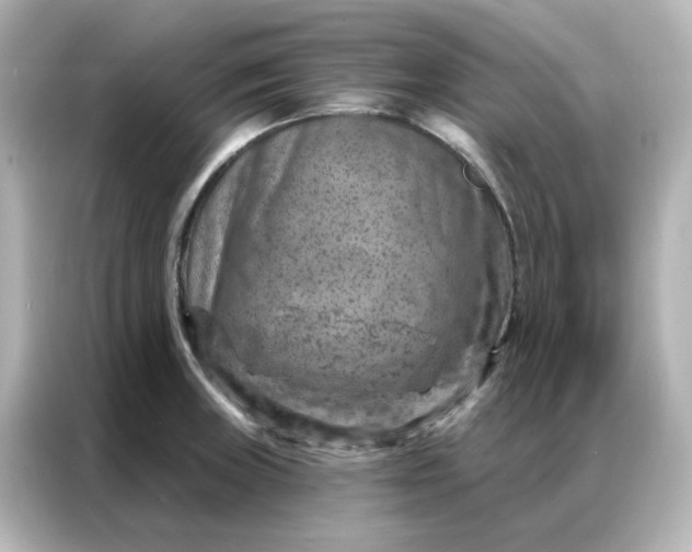 X0000087001235200704301351