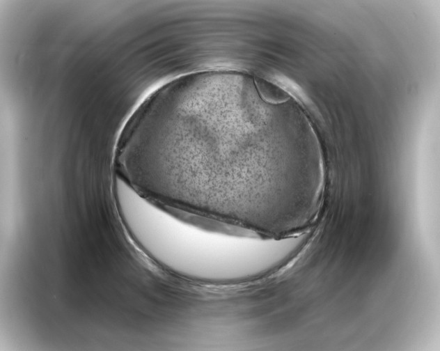 X0000087001236200704301351