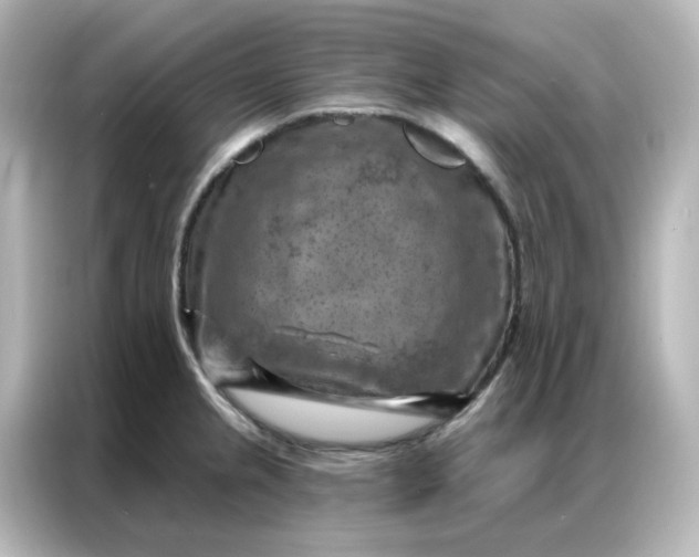 X0000087001237200704301351