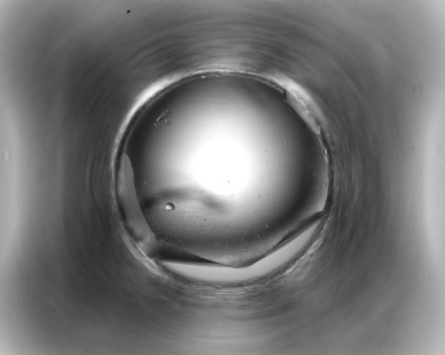 X0000087001238200704301351