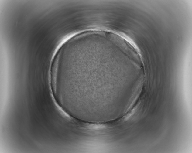 X0000087001239200704301351