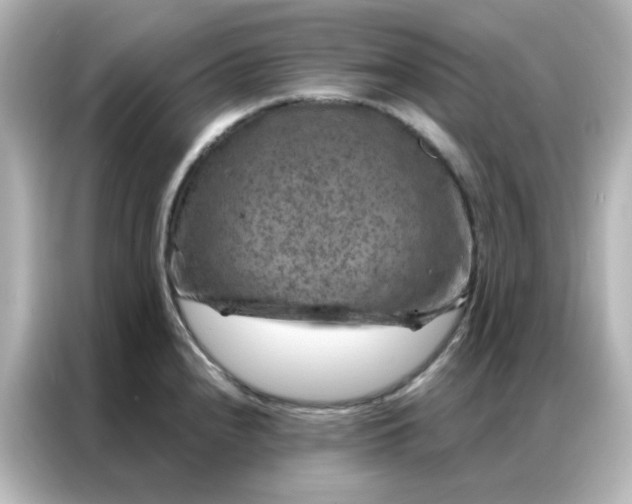 X0000087001240200704301351