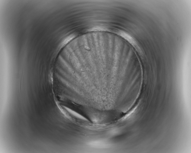X0000087001241200704301351