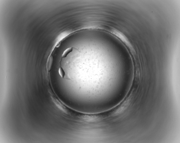 X0000087001242200704301351