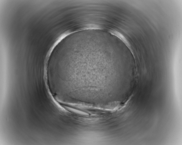X0000087001243200704301351