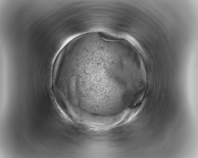 X0000087001244200704301351