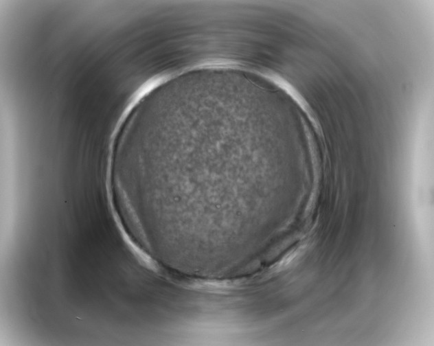 X0000087001245200704301351