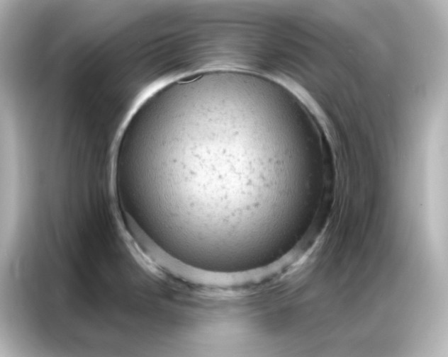 X0000087001246200704301351