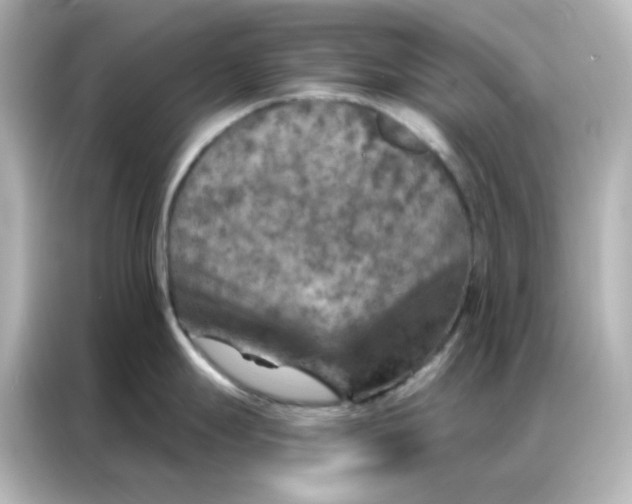 X0000087001247200704301351