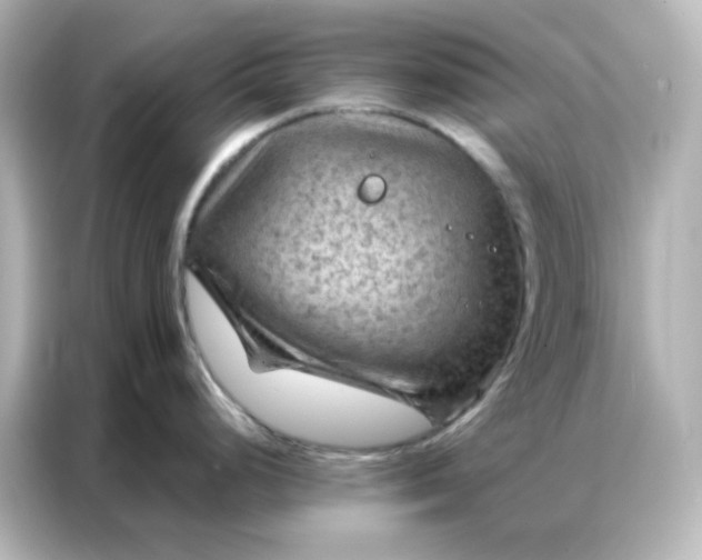 X0000087001248200704301351