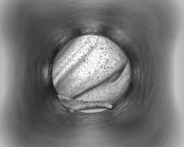 X0000087001250200704301350