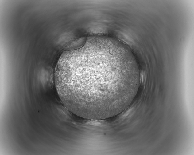 X0000087001251200704301350