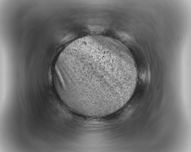 X0000087001252200704301350