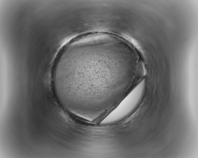 X0000087001264200704301350