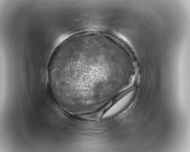 X0000087001267200704301350