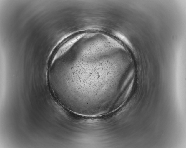 X0000087001268200704301350