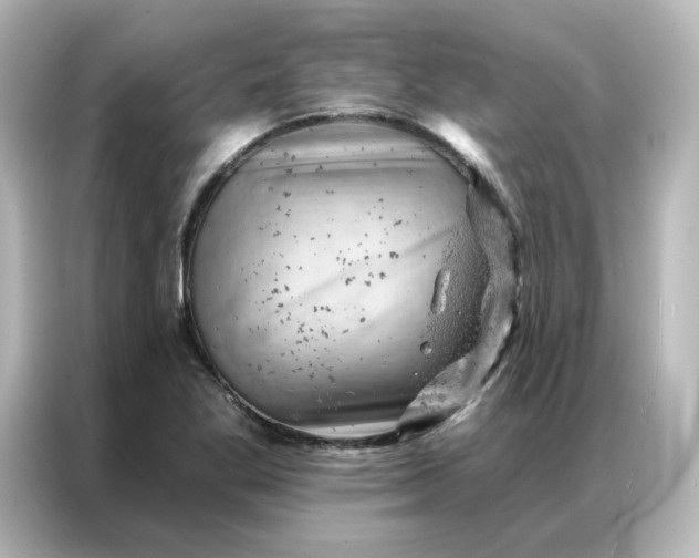 X0000087001269200704301350