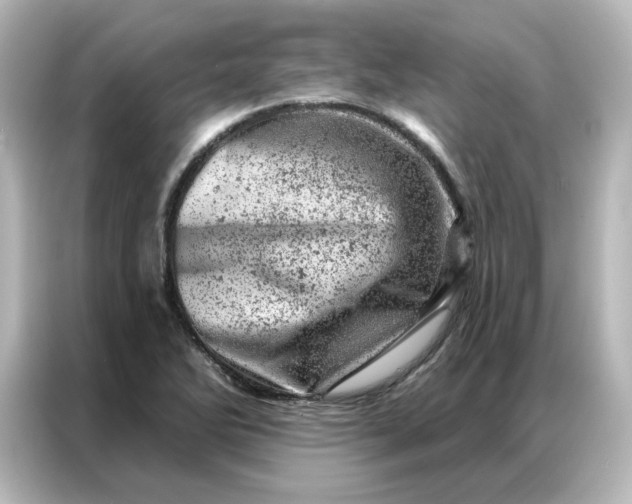 X0000087001270200704301350