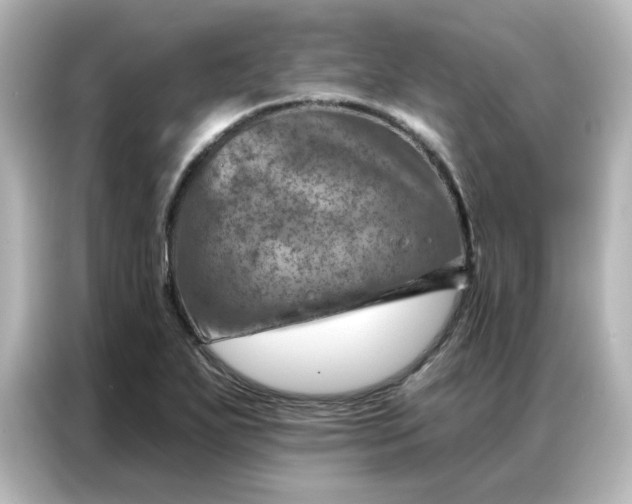 X0000087001271200704301350