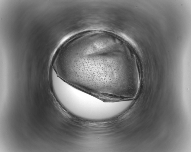 X0000087001272200704301350