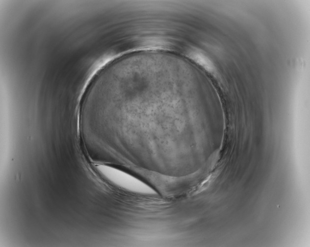 X0000087001275200704301350