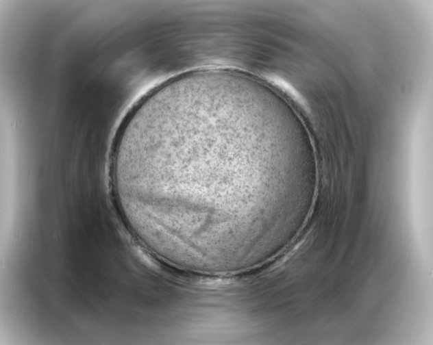 X0000087001278200704301350