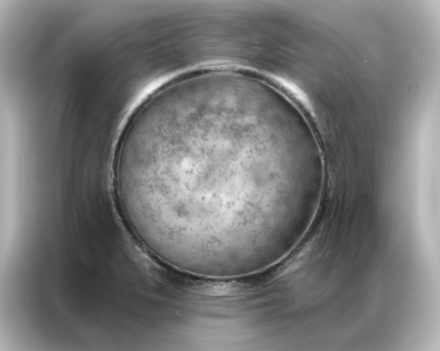 X0000087001279200704301350