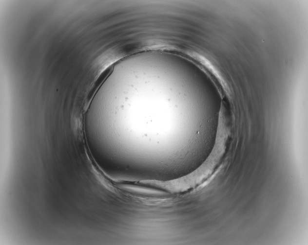 X0000087001281200704301350
