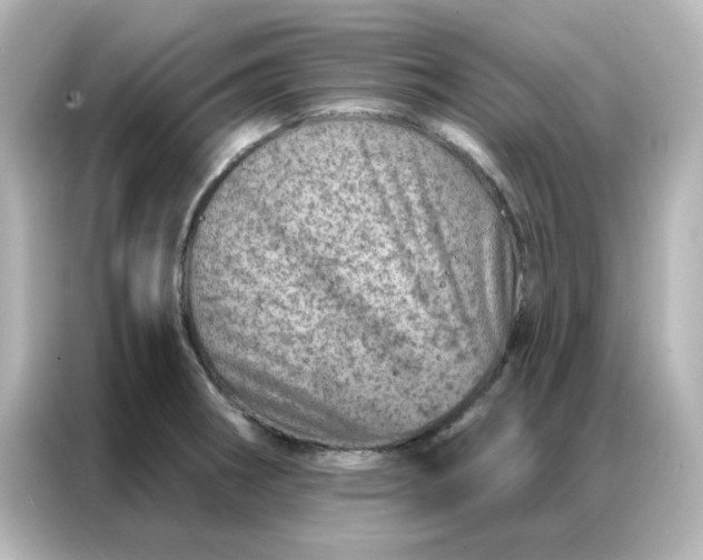 X0000087001282200704301350
