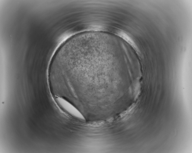 X0000087001283200704301350