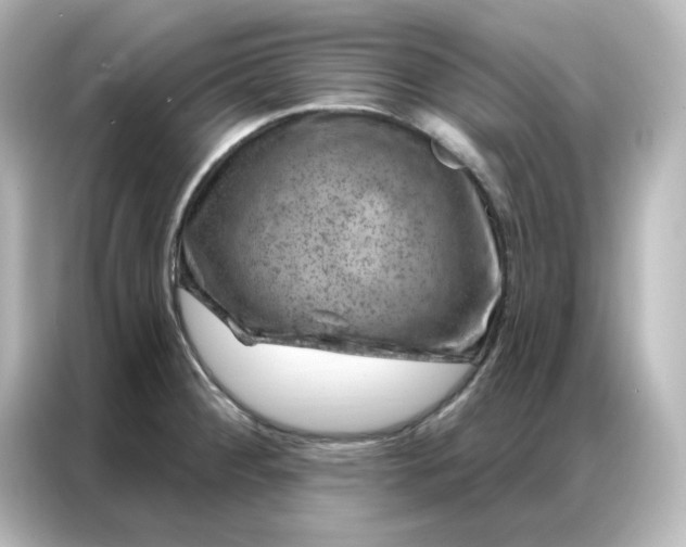 X0000087001284200704301350