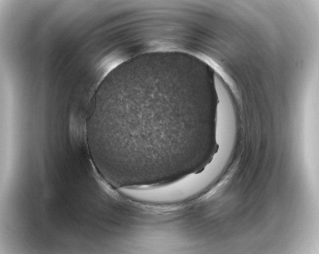 X0000087001289200704301350