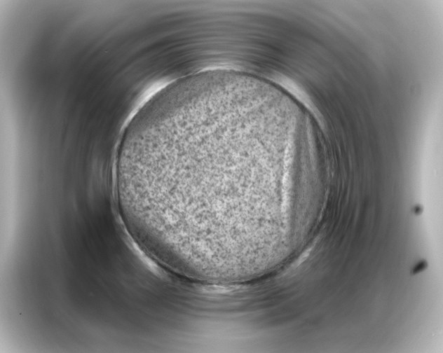 X0000087001290200704301350